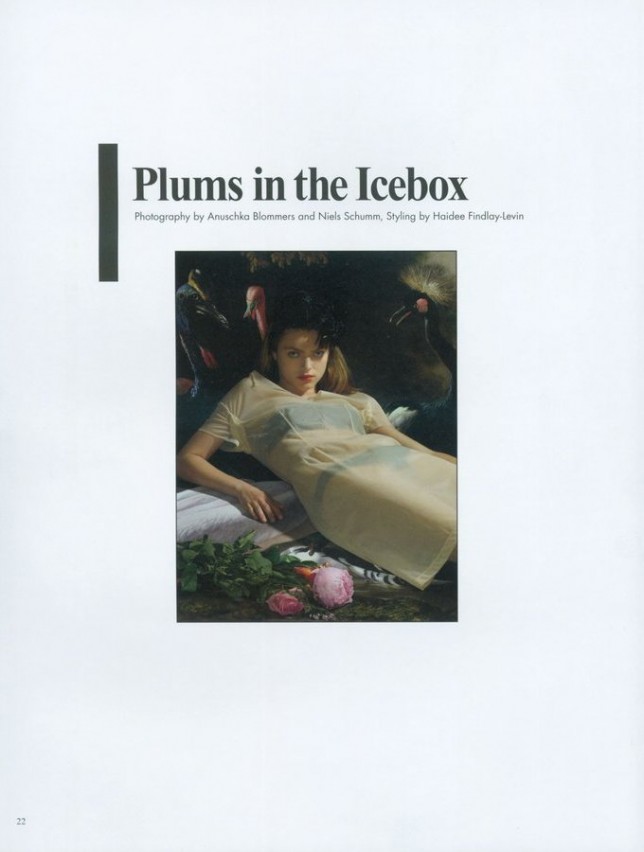 Plums in the Ice Box HAIDEE FINDLAYLEVIN